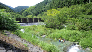 川遊びする親子連れ