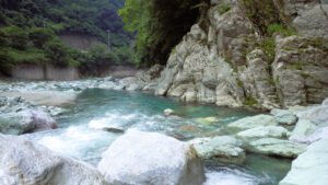 加茂川の清流