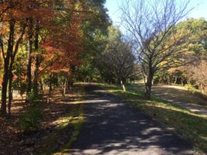 まんのう公園のサイクリングコース