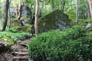 四国山岳植物園