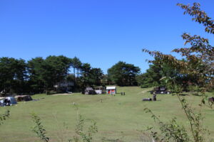 芝生広場で遊ぶ家族連れ